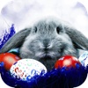 Stories of the Easter Bunny - An interactive Story-Book
