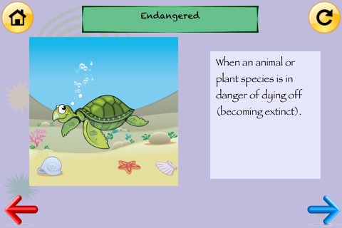 2nd Grade Science Glossary #2: Learn and Practice Worksheets for home use and in school classrooms screenshot 3