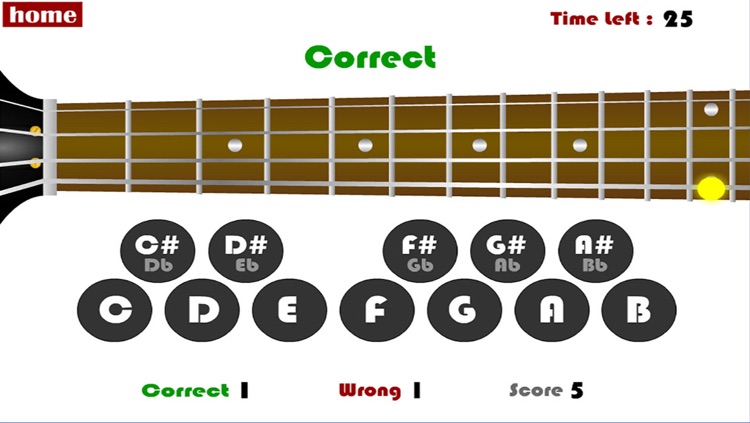 Bass Guitar Training Tool