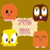 Spring Birds Mission Rescue. The hardest equilibrium physics free puzzle for kids and adults - HD