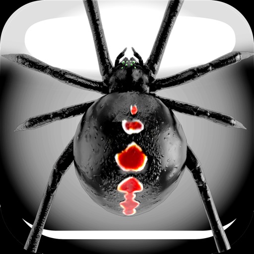 Spider Prank iOS App