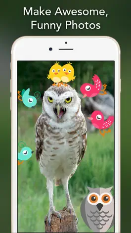 Game screenshot Birds Stickers mod apk