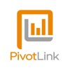PivotLink Mobile Analytics