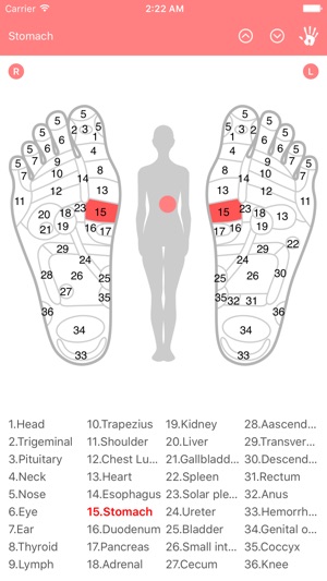 Reflexology Chart (Foot & Hand)(圖1)-速報App