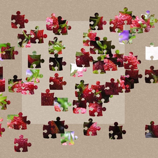 Jigsaw Puzzles Pics iOS App