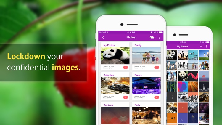 Photo And Video Locker Pro