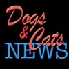 Dogs & Cats News
