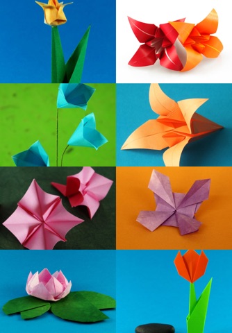 Origami Flowers screenshot 2