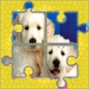 Dogs : 150+ Jigsaw Puzzles for Kids