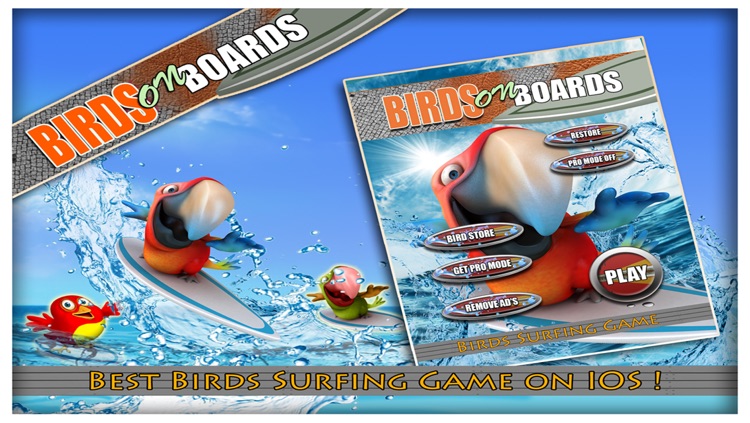 Birds on Boards FREE : Tiny Parrots Water adventure Race