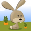 Little Bunny - Hide and Seek HD