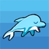 Sleepy Dolphin