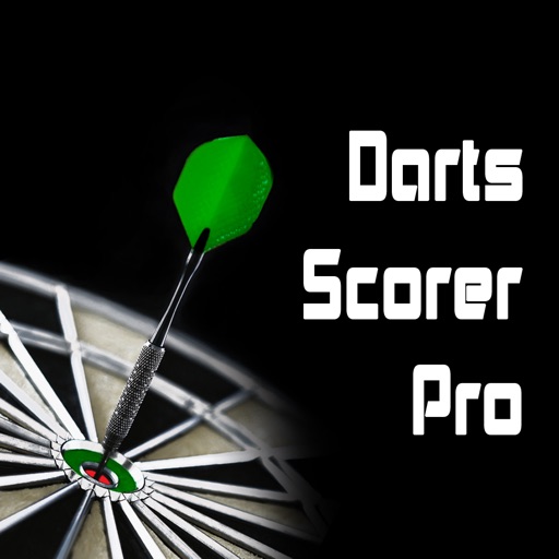 Darts Scorer Pro icon
