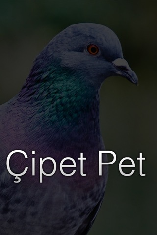 CipetPet screenshot 2