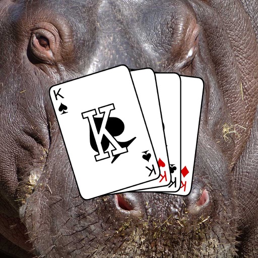 Patience - Solitaire Wild Life iOS App