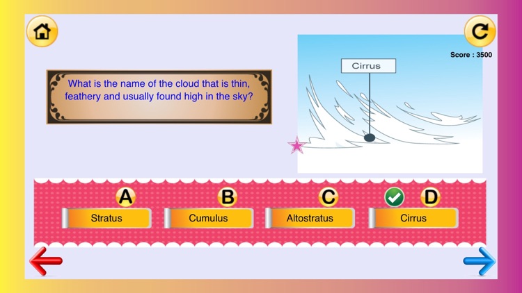 2nd Grade Science Glossary #1: Learn and Practice Worksheets for home use and in school classrooms screenshot-3