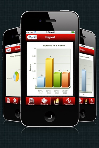 My Pocket Accountant screenshot 4