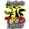 Analysis Taekwondo Fighter