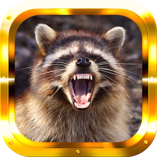 Raccoon Hunter Gold Pro Icon