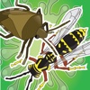 Stink Bug vs Wasp