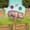 Pig vaccination game