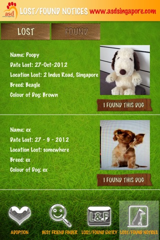 Action for Singapore Dogs screenshot 4