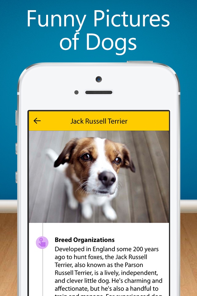 Dog Breeds Guide - popular names, puppies photo, training video, choose guide screenshot 2