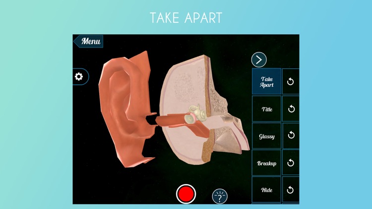 Virtual Reality(VR) Human Ear