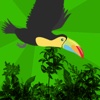 Tappy Toucan