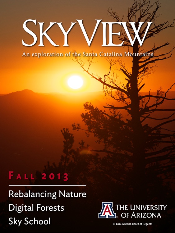 SkyView Magazine