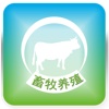 中国畜牧养殖