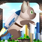 Jetpack Cat Madness: Animal Warriors Adventure icon