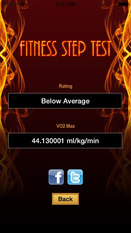 Fitness Step Test- VO2max screenshot-4