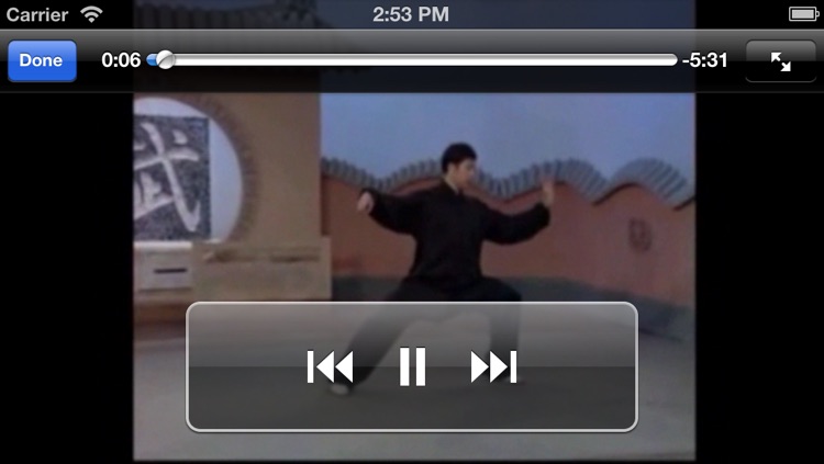 陈式太极拳-武术名家讲解示范,Chen Tai-chi, A Kind of Traditional Chinese Shadowboxing screenshot-4
