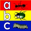 Learn ABC Creepy Crawlies