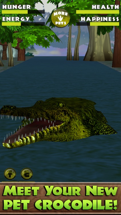 Virtual Pet Crocodile