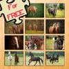 12 Animated Horse-s & Pony Puzzle-s For Kids