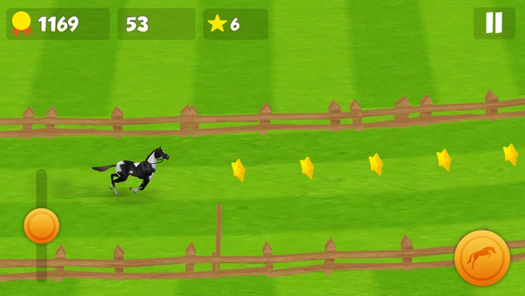 Horse Derby Race Training