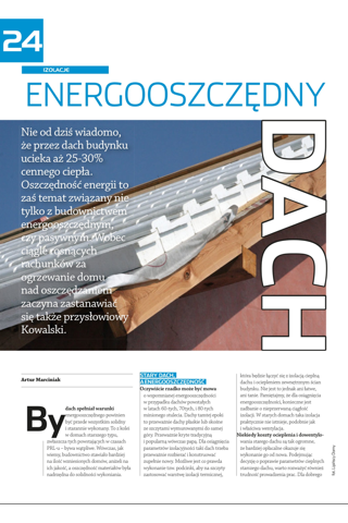 Przegląd Dachowy e-dach.pl. screenshot 4
