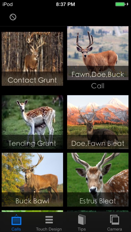 Deer Calls and Hunting Tips