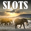 Safari Animals - FREE Gambling World Series Tournament
