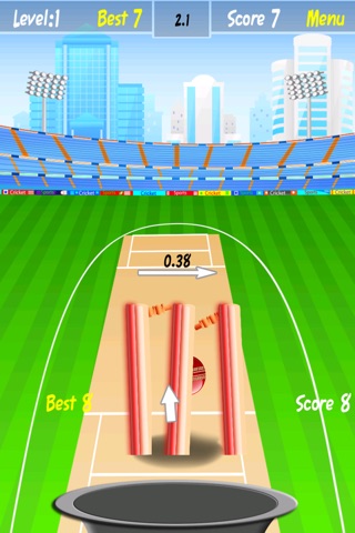 Cricket Ball Toss - Cool Throwing Sport Challenge screenshot 4