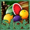 A Amazing Fruits Slots-Free Game