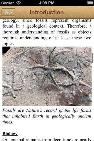 Fossils screenshot 4