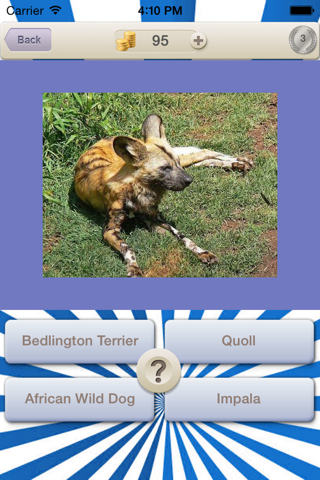 Animals Guess Quiz screenshot 3