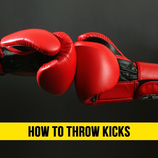 Boxing For Beginners - How to Throw Kicks