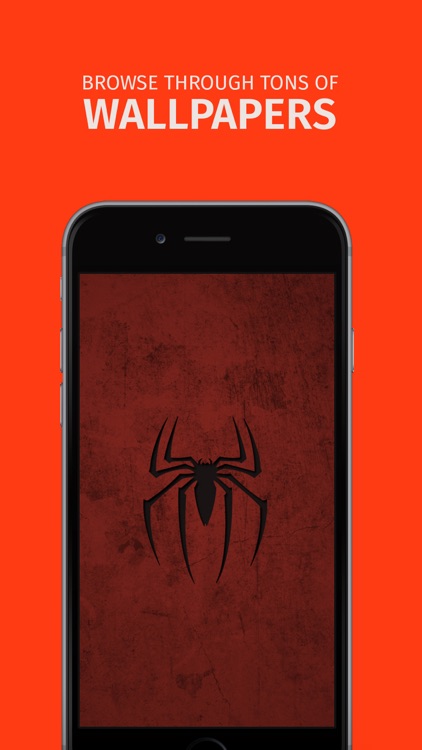 Spiderman Edition Wallpapers