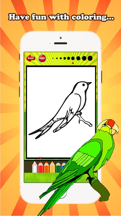 Bird Coloring Book for children age 1-10: Drawing & Coloring page games free for learning skill