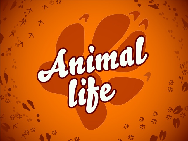 Animal Life for toddlers