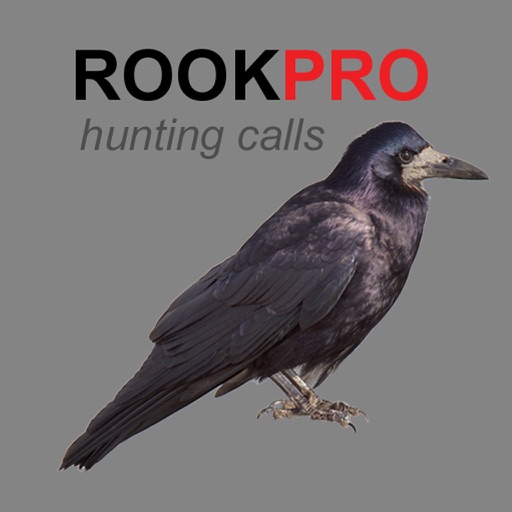 REAL Rook Hunting Calls - 10 REAL Rook CALLS & Rook Sounds! - ROOK eCaller - BLUETOOTH COMPATIBLE icon